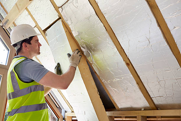 Best Commercial Insulation in Palmetto, FL